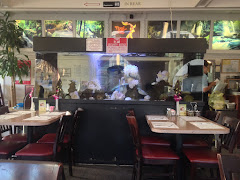Thai near Hollywood Premiere Motel